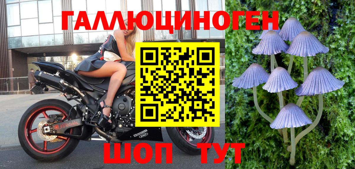 Псилоцибиновые грибы мухоморы  Вход с VPN  Карпинск 